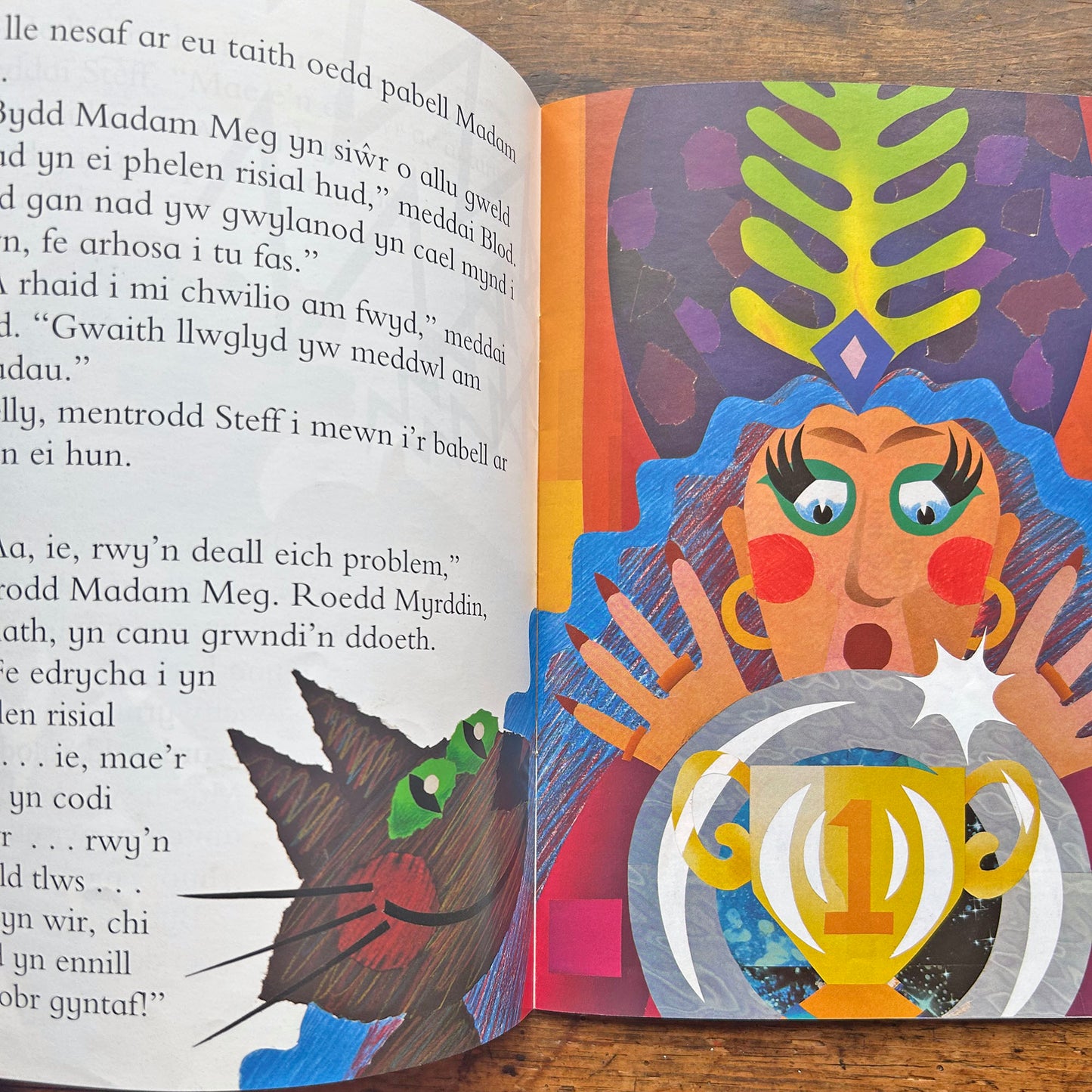 Sglod a'r Ddraig: Cyfres Llyffantod (Preloved)