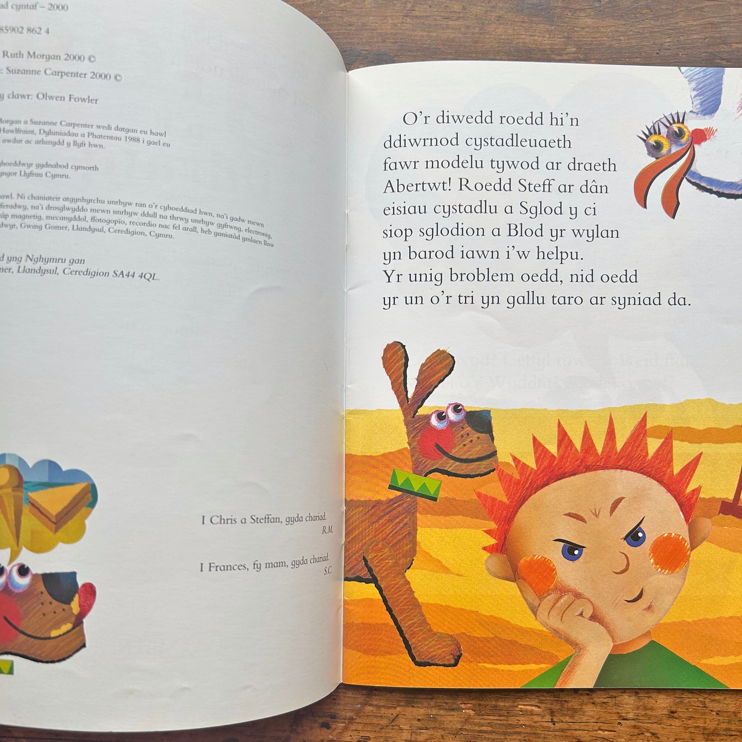 Sglod a'r Ddraig: Cyfres Llyffantod (Preloved)