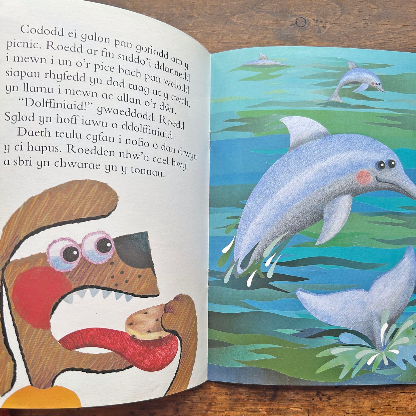 Sglod ar y Mor: Cyfres Llyffantod (Preloved)