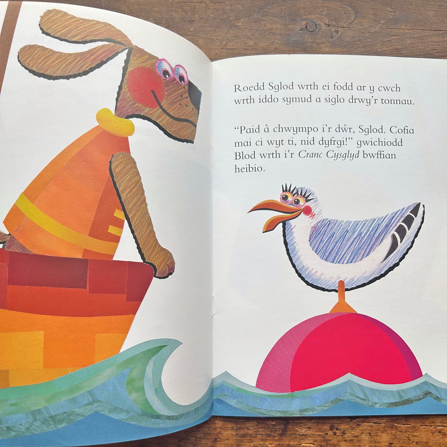 Sglod ar y Mor: Cyfres Llyffantod (Preloved)