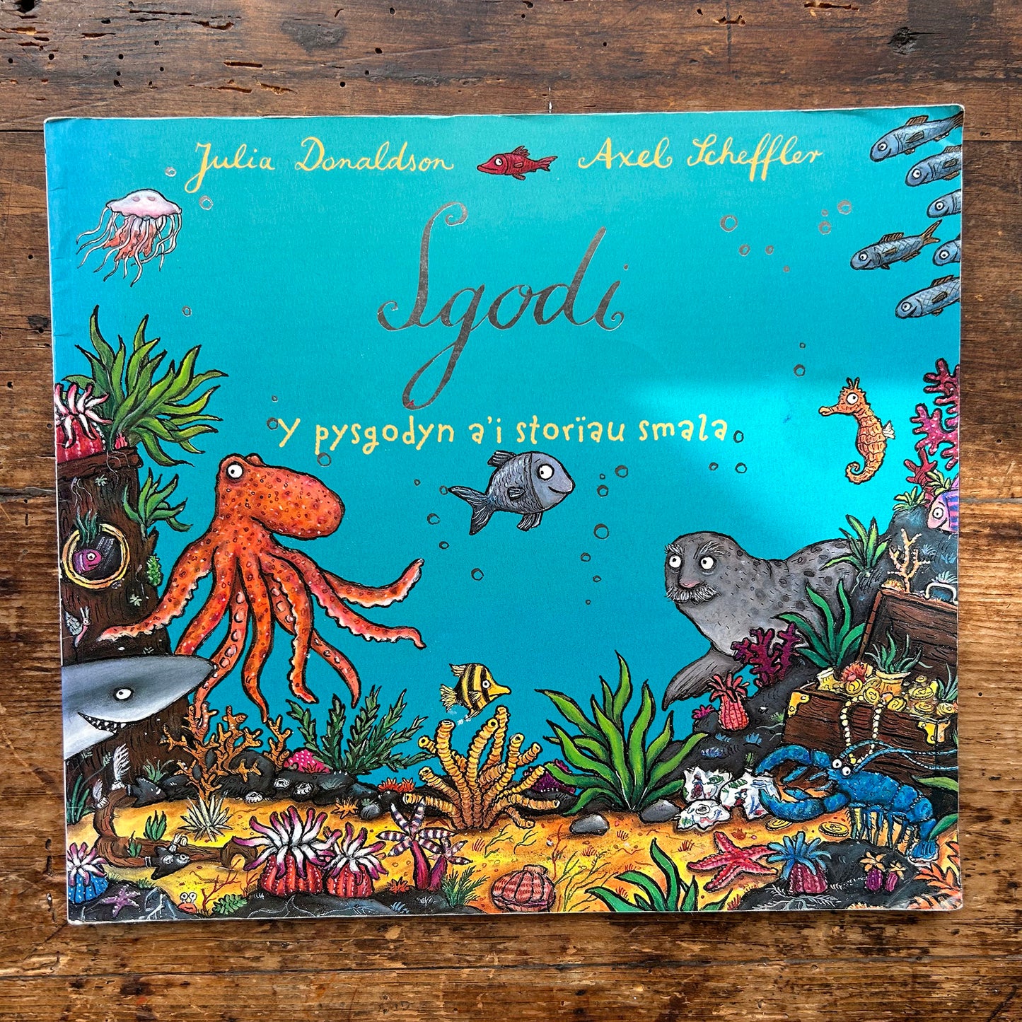 Sgodi / Tiddler - Julia Donaldson & Alex Scheffler (Preloved)