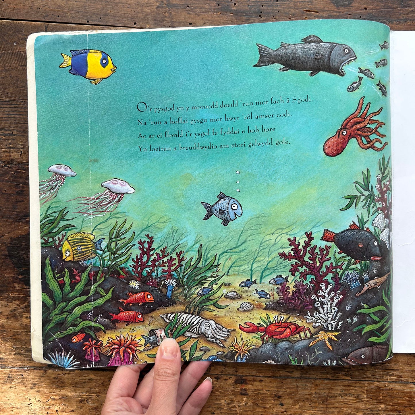 Sgodi / Tiddler - Julia Donaldson & Alex Scheffler (Preloved)