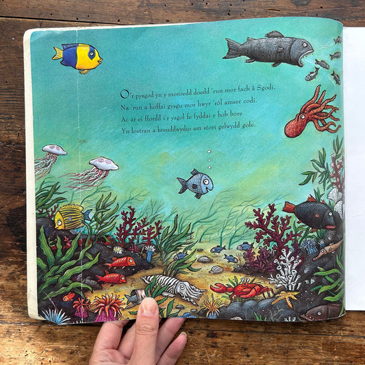 Sgodi / Tiddler - Julia Donaldson & Alex Scheffler (Preloved)