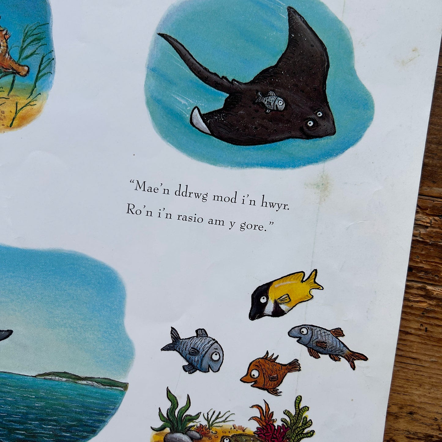 Sgodi / Tiddler - Julia Donaldson & Alex Scheffler (Preloved)