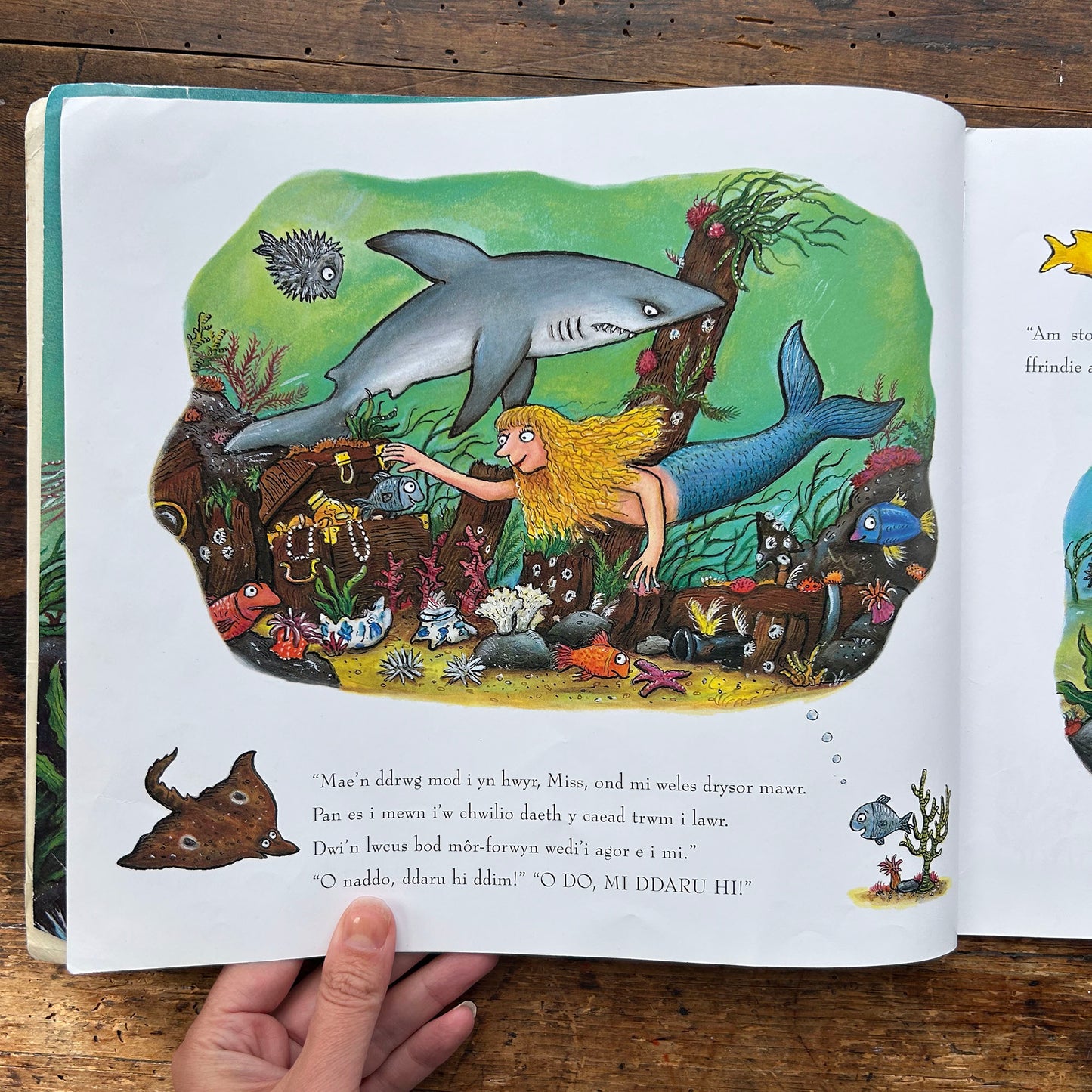 Sgodi / Tiddler - Julia Donaldson & Alex Scheffler (Preloved)