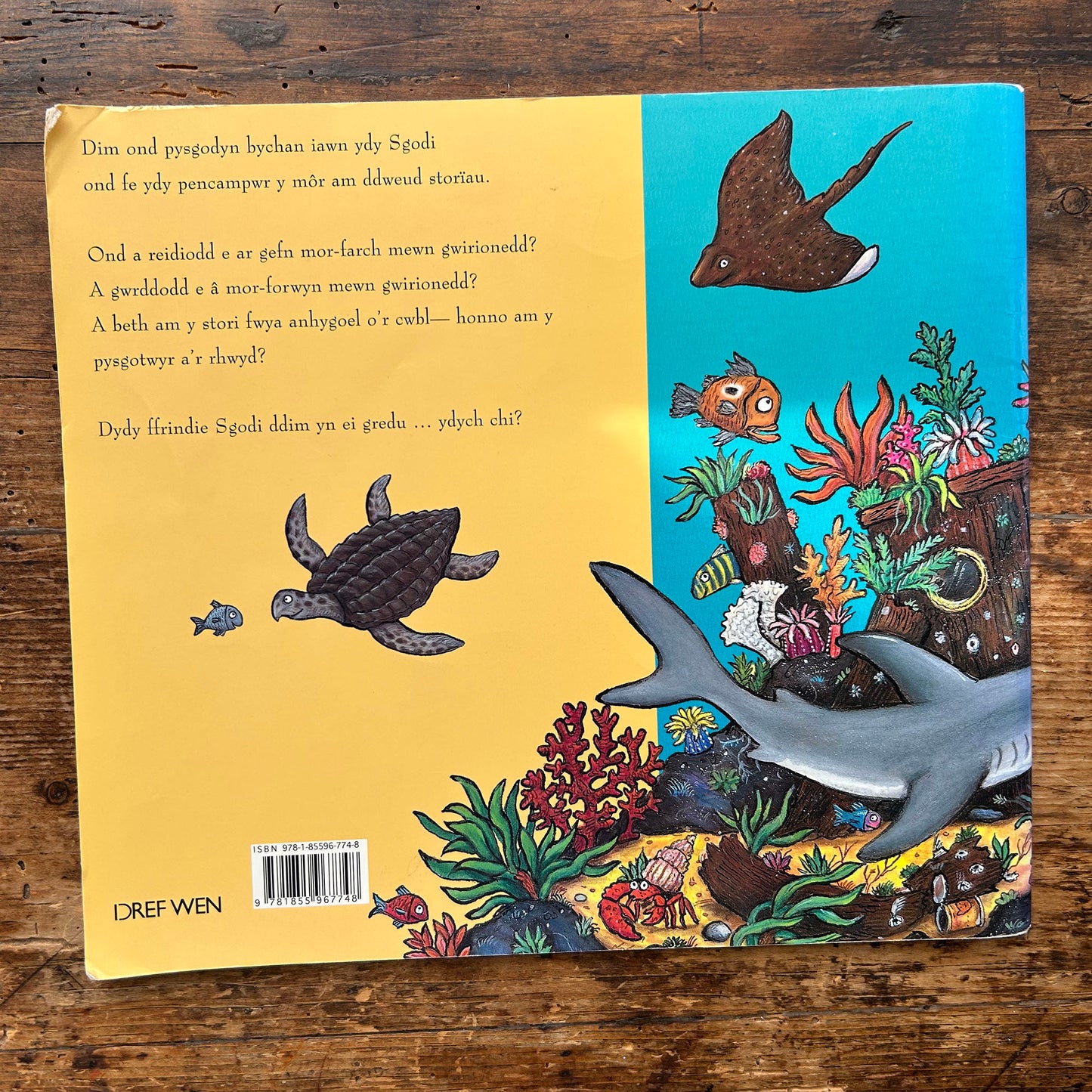 Sgodi / Tiddler - Julia Donaldson & Alex Scheffler (Preloved)