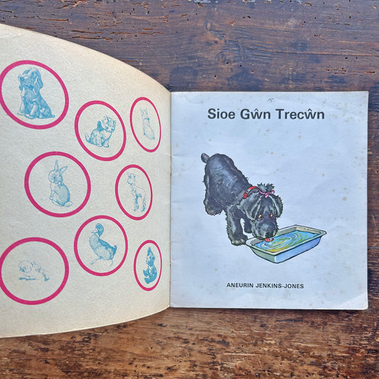 Sioe Gwn Trecwn - Llyfr Lluniau Plant Hen 1973 (Wedi'i Ail-law)