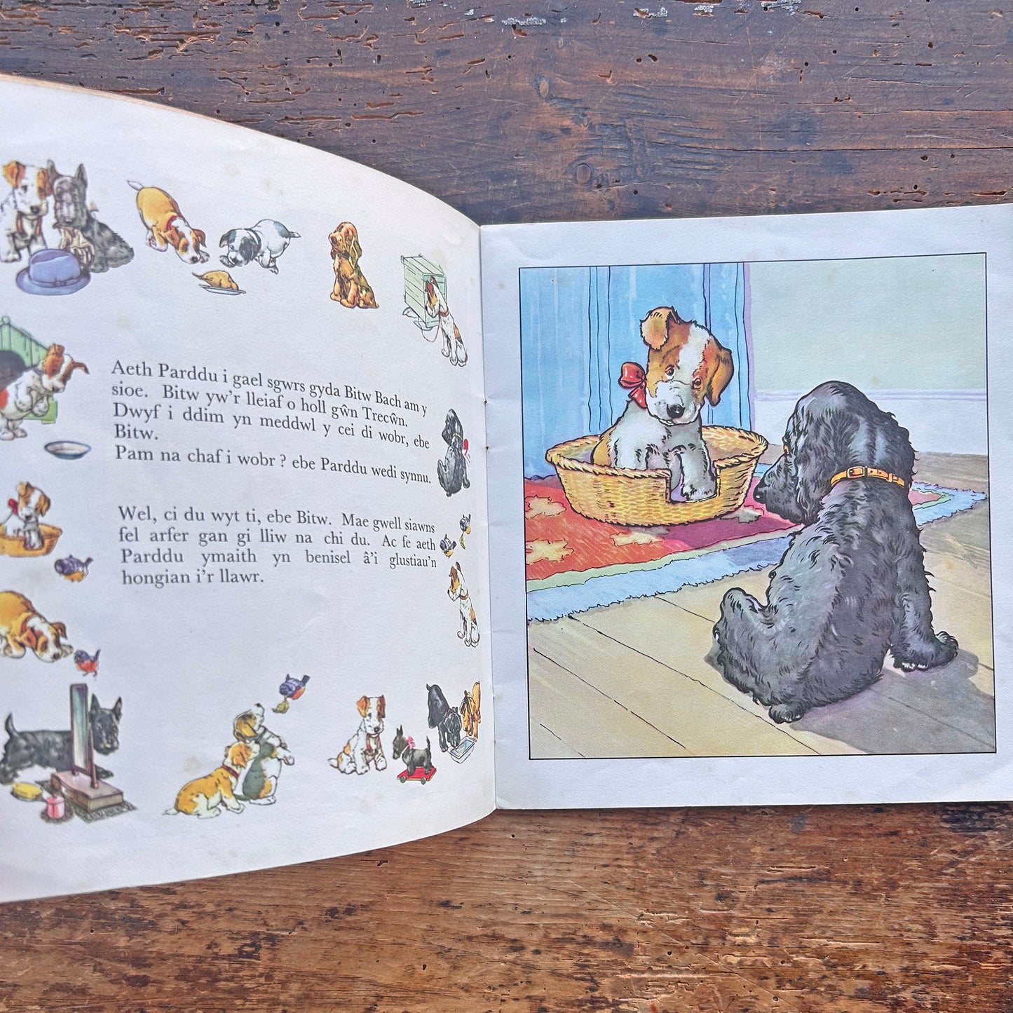 Sioe Gwn Trecwn - Llyfr Lluniau Plant Hen 1973 (Wedi'i Ail-law)