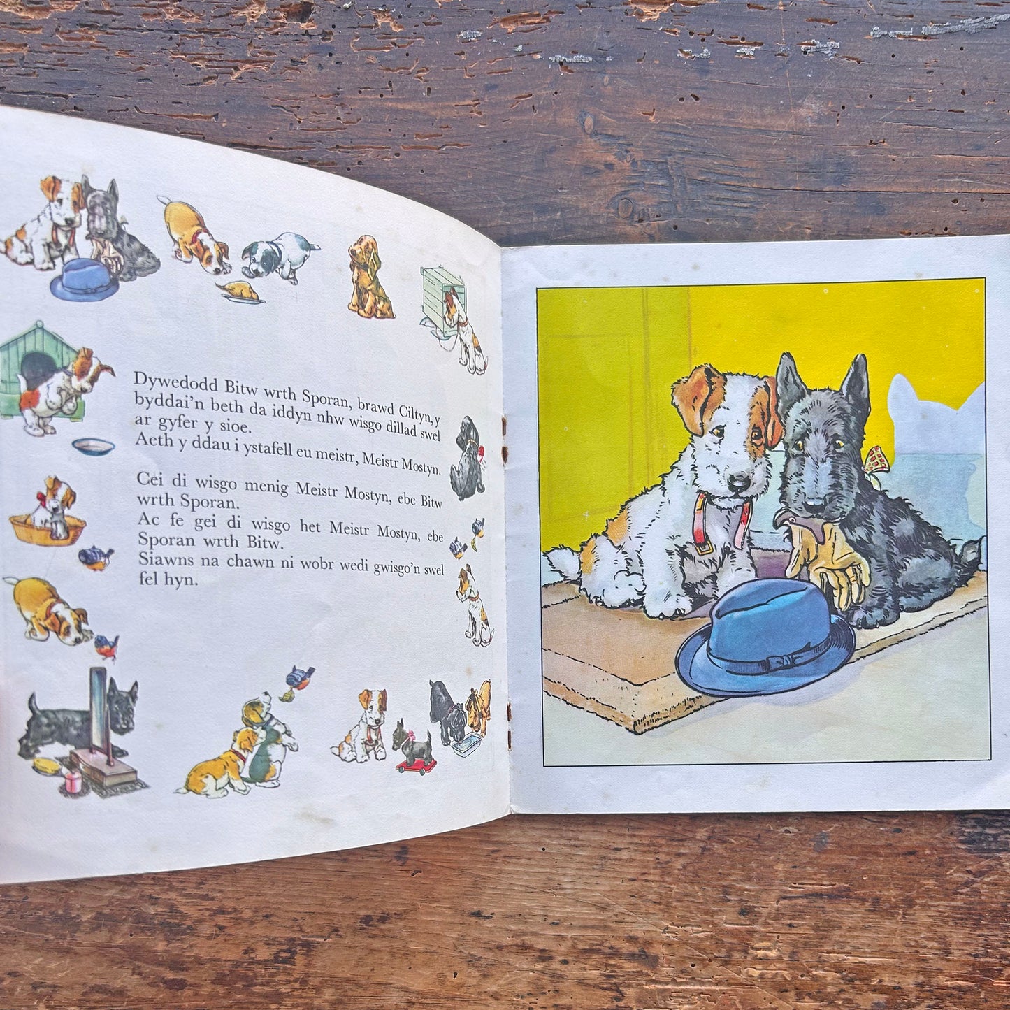 Sioe Gwn Trecwn - Llyfr Lluniau Plant Hen 1973 (Wedi'i Ail-law)