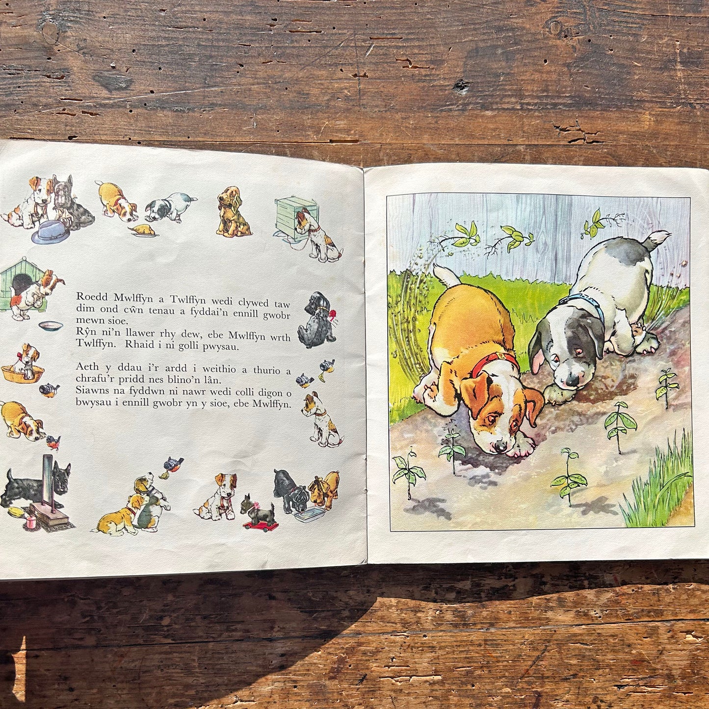 Sioe Gwn Trecwn - Vintage Children's Picture Book 1973 (Preloved)
