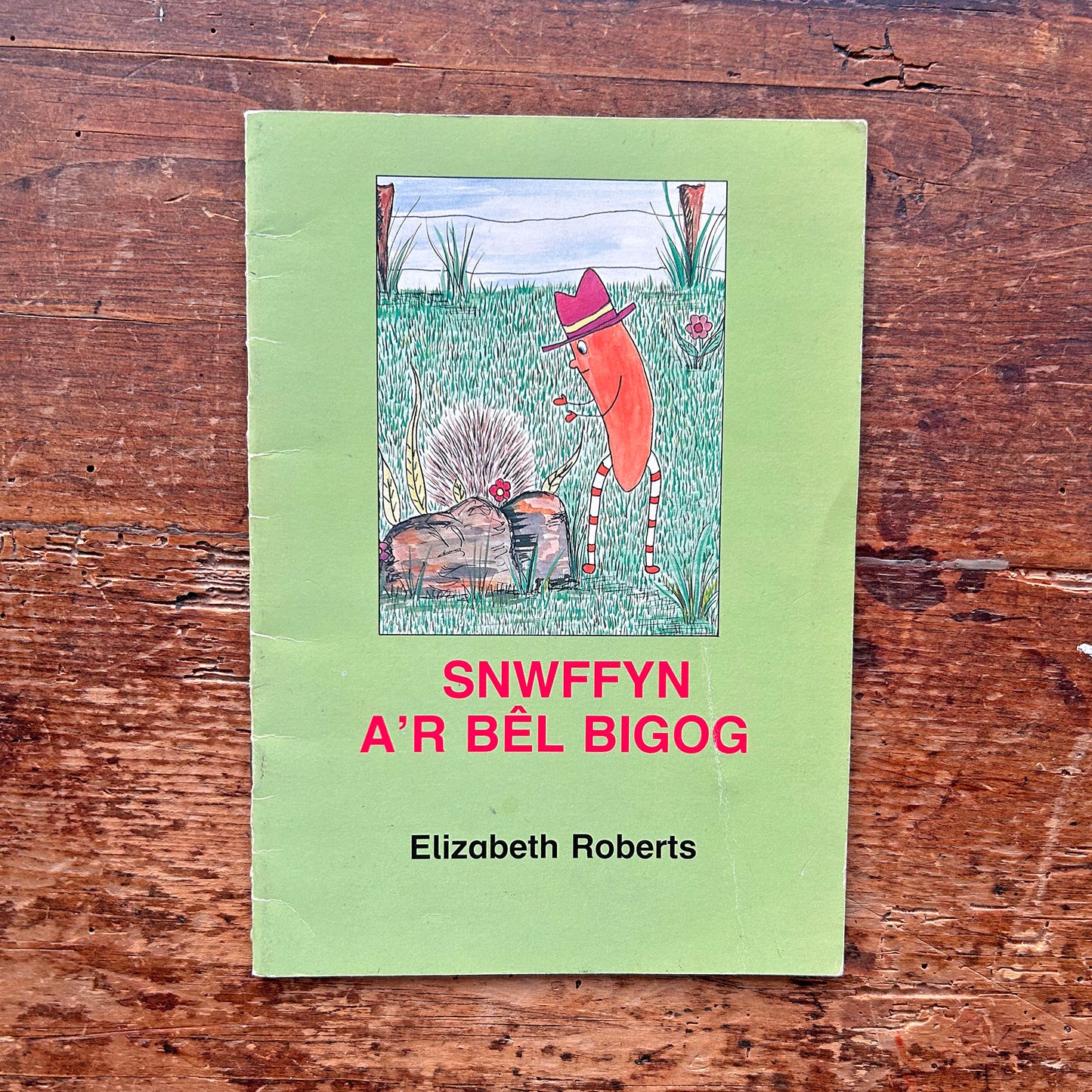 Snwffyn A'r Bêl Bigog - Elizabeth Roberts 1989 (Preloved)