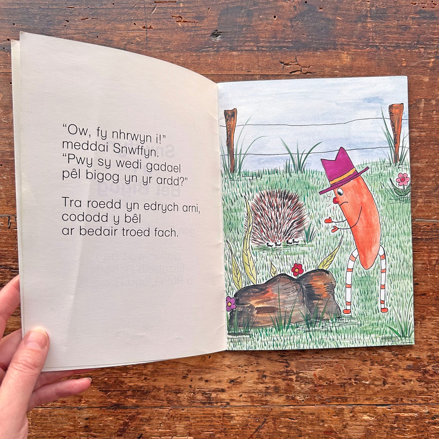 Snwffyn A'r Bêl Bigog - Elizabeth Roberts 1989 (Preloved)