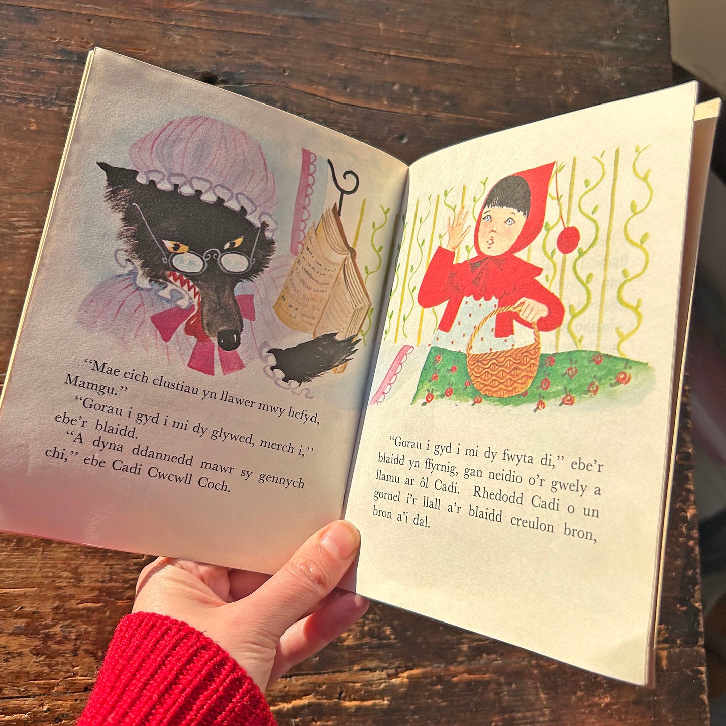 Stori Cadi Cwcwll Coch - Vintage Welsh Book (Preloved)