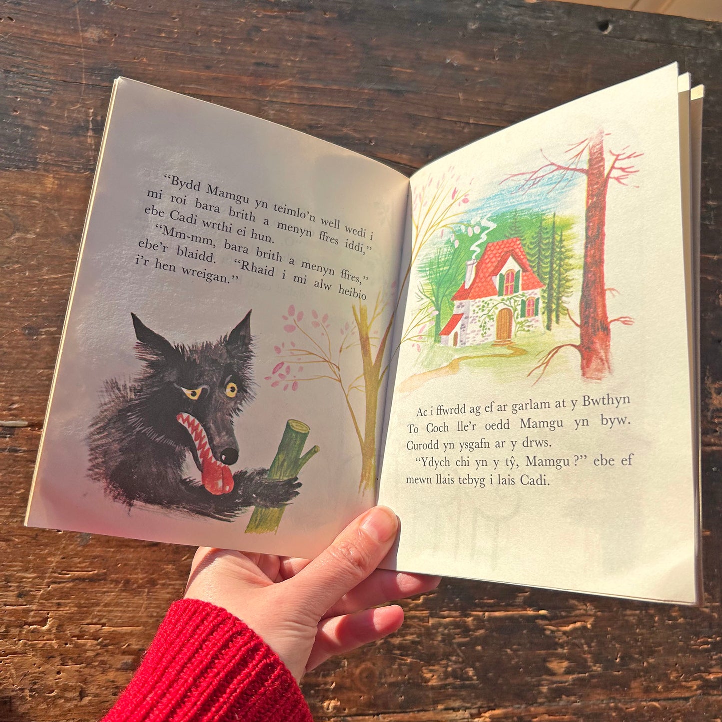 Stori Cadi Cwcwll Coch - Vintage Welsh Book (Preloved)