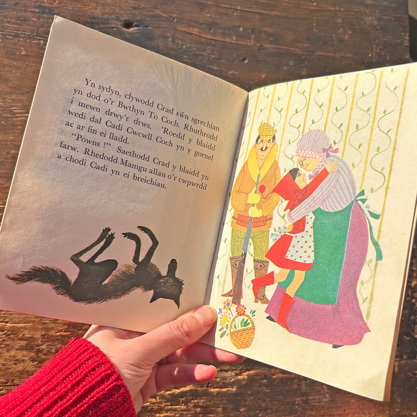 Stori Cadi Cwcwll Coch - Vintage Welsh Book (Preloved)