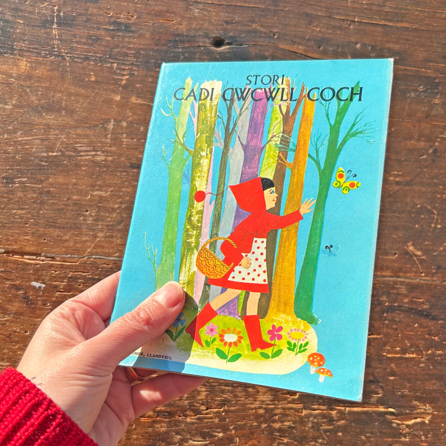 Stori Cadi Cwcwll Coch - Vintage Welsh Book (Preloved)