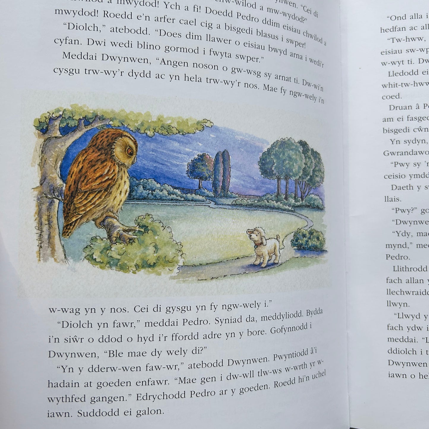 Stori Cyn Cysgu  2 - Collection of Welsh Bedtime Stories II (Preloved)