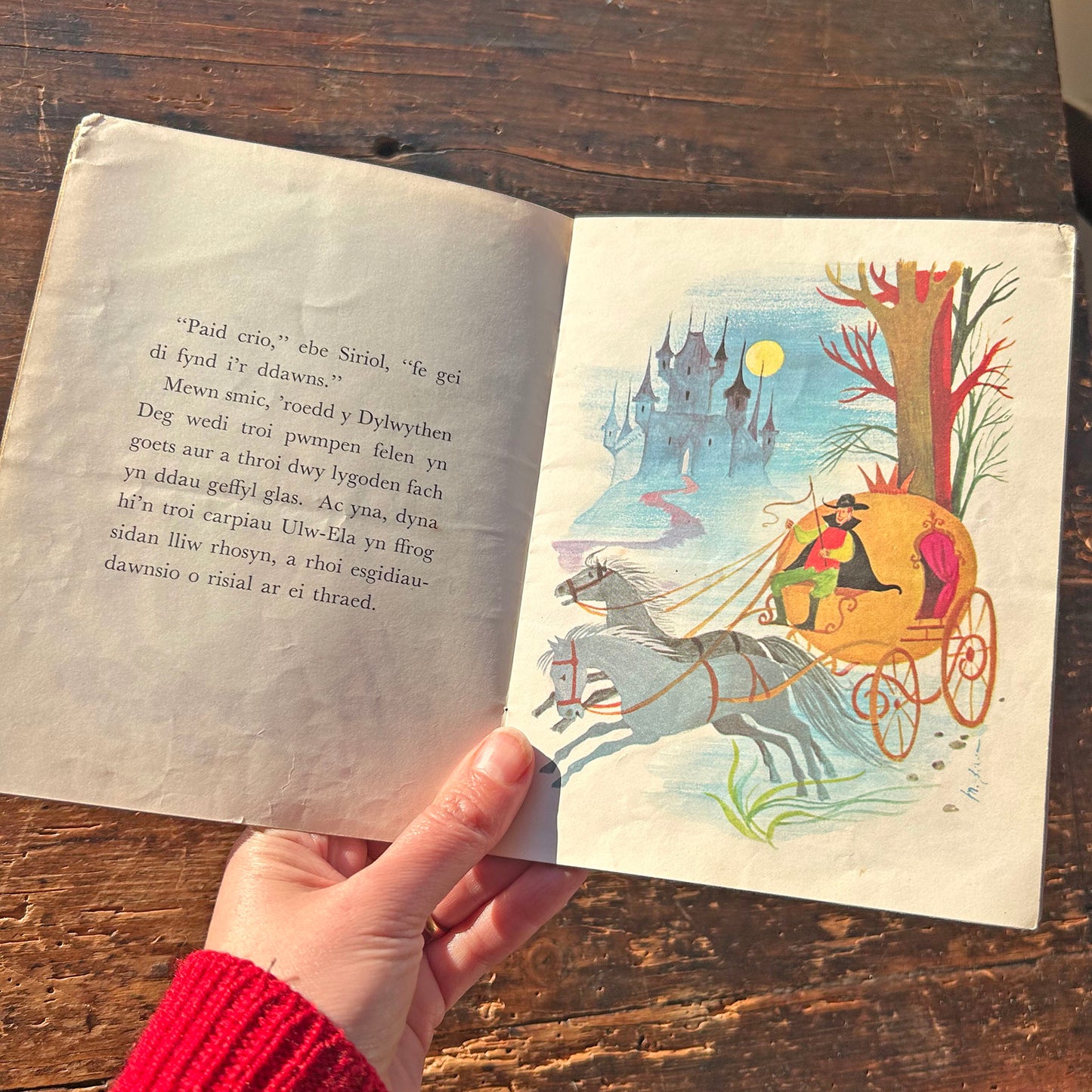 Stori Ulw-Ela - Vintage Welsh Book (Preloved)