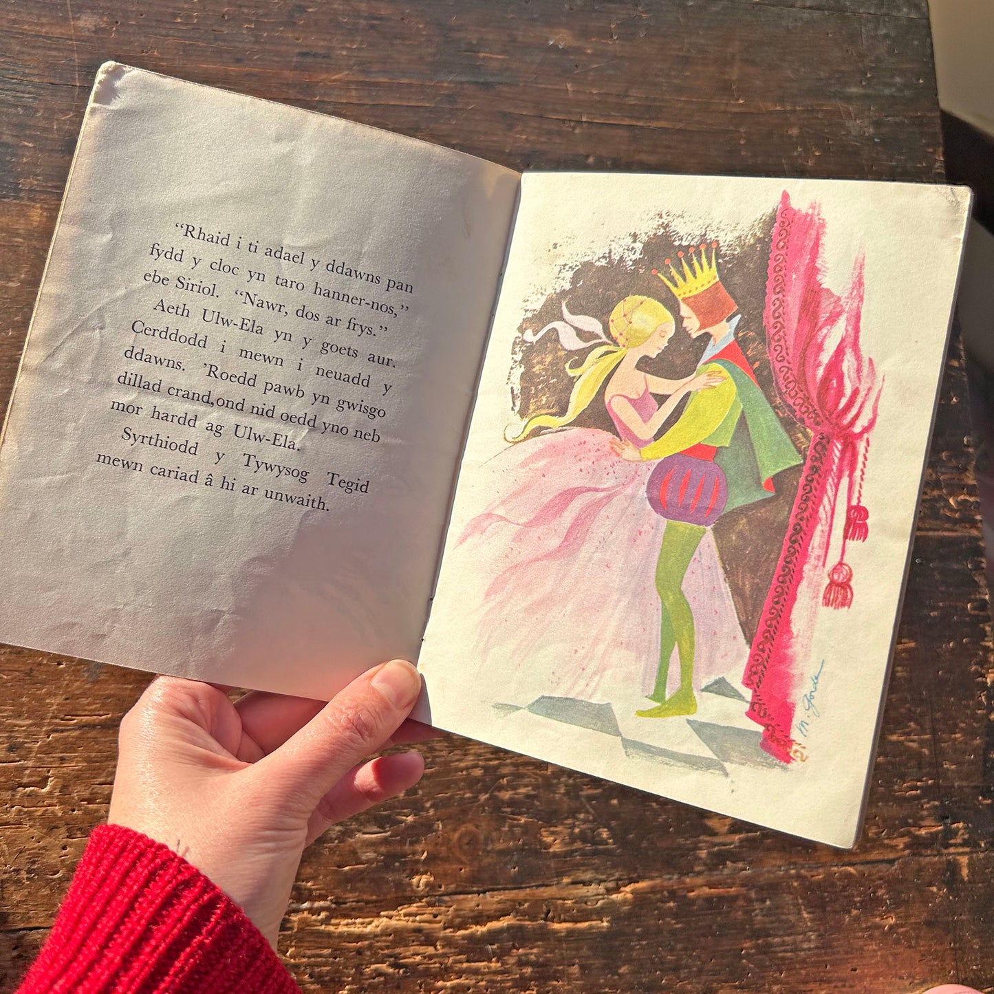 Stori Ulw-Ela - Vintage Welsh Book (Preloved)