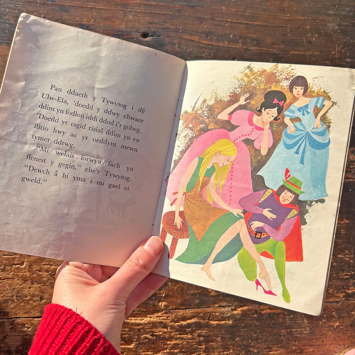 Stori Ulw-Ela - Vintage Welsh Book (Preloved)