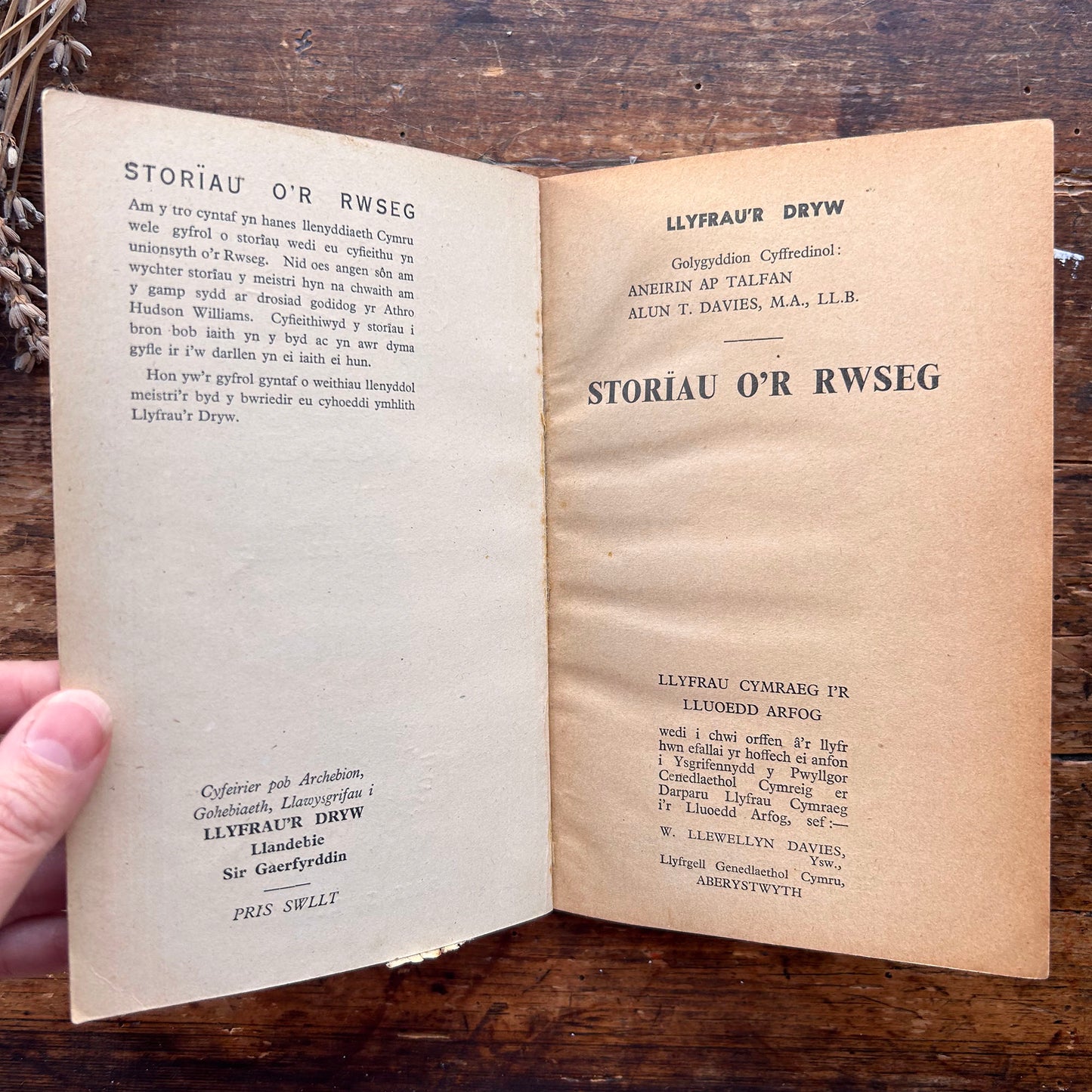 Storiau O'r Rwseg - T. Hudson-Williams - 1942 (Preloved)