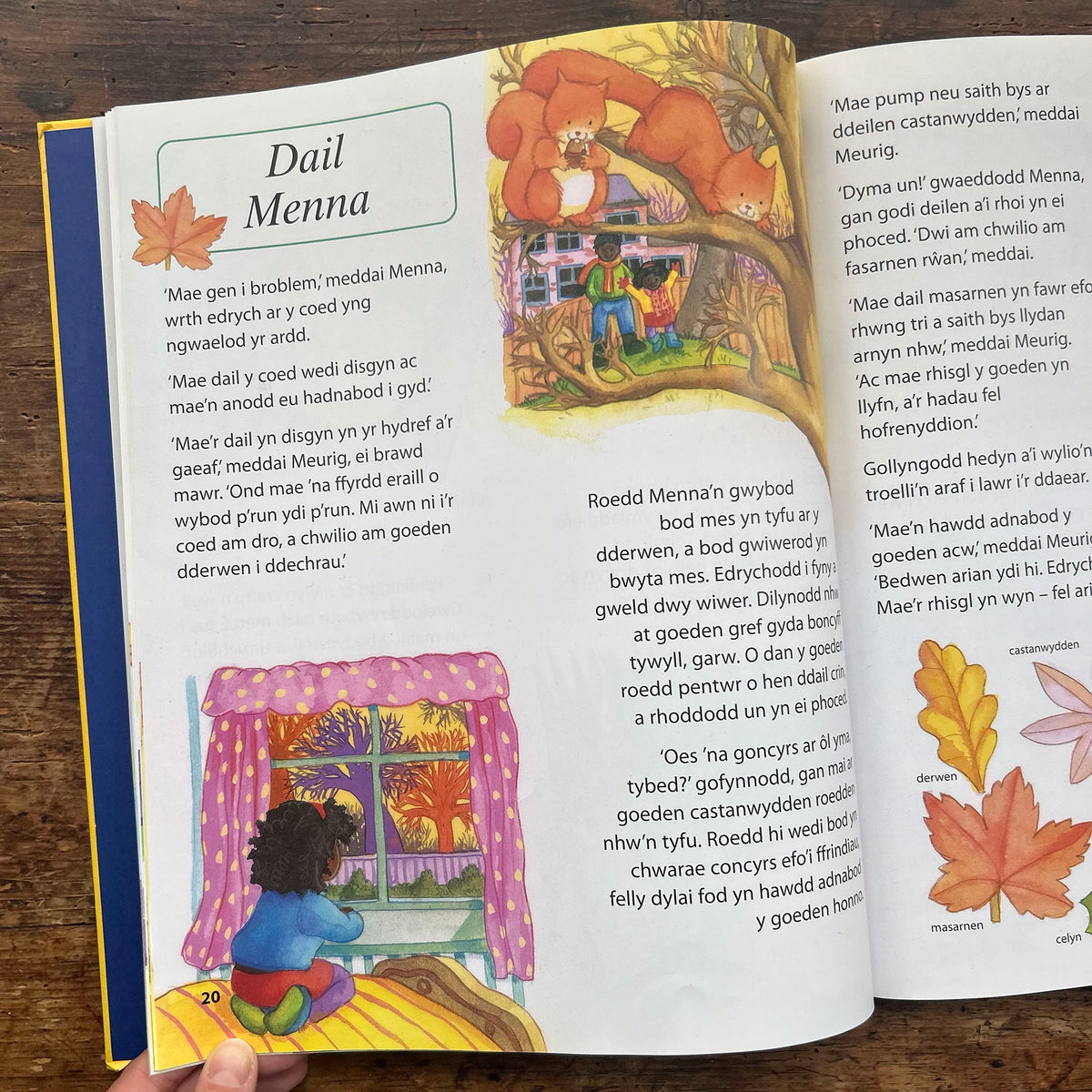 Straeon Dau Funud / Bedtime: Two Minute Tales (Preloved)