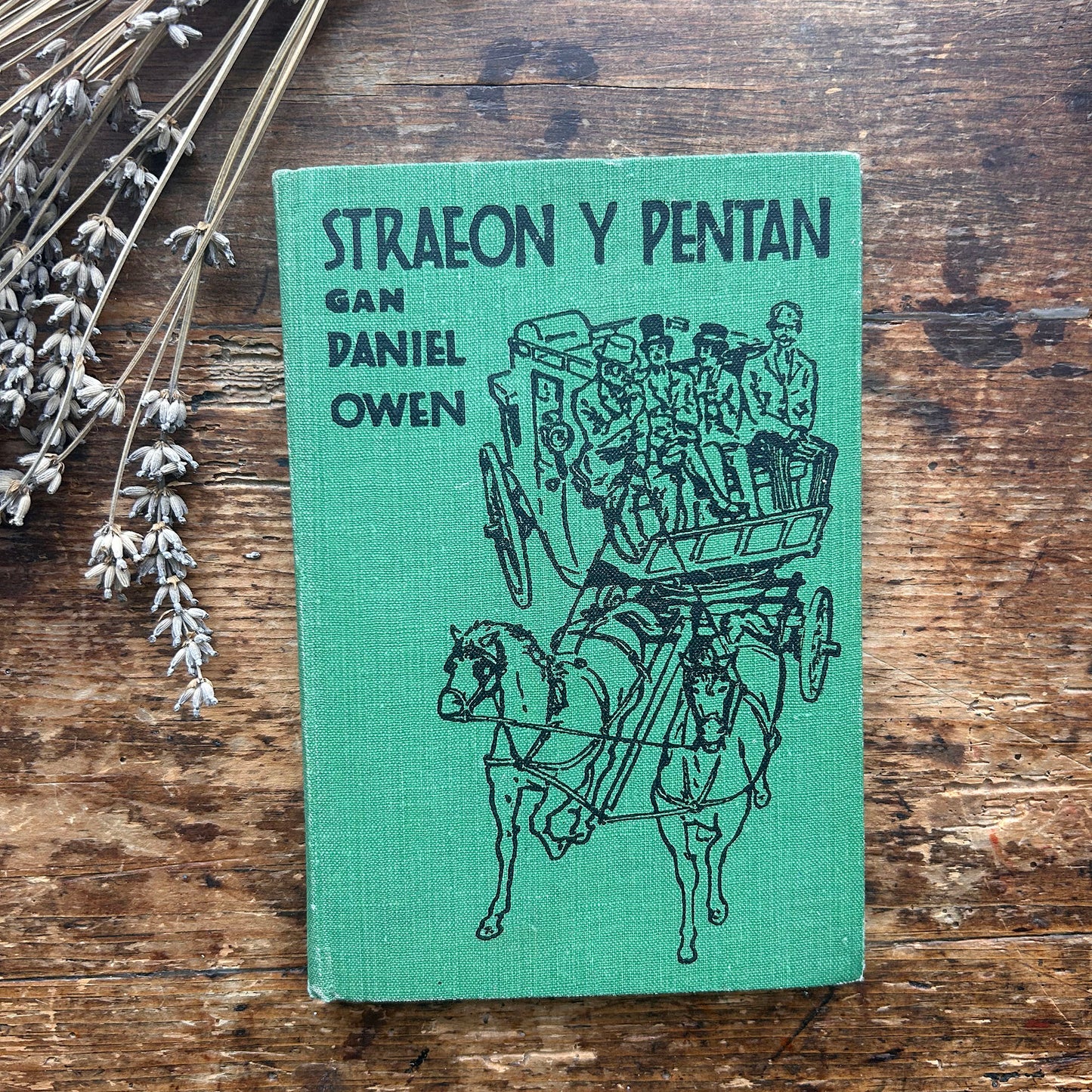 Straeon y Pentan - Daniel Owen - Green (Preloved)
