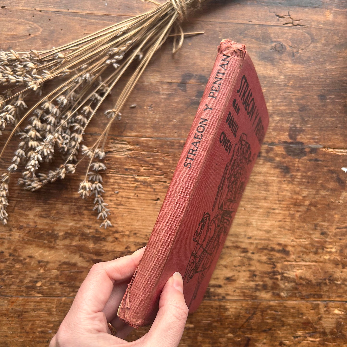 Straeon y Pentan - Daniel Owen - Red (Preloved)