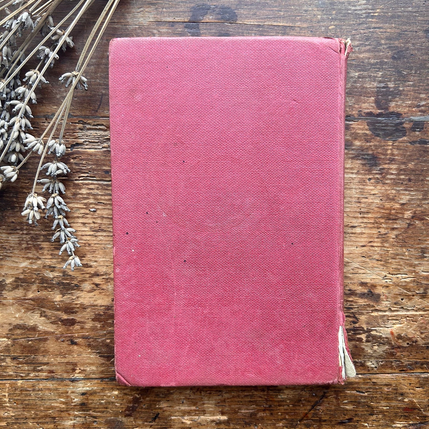 Straeon y Pentan - Daniel Owen - Red (Preloved)