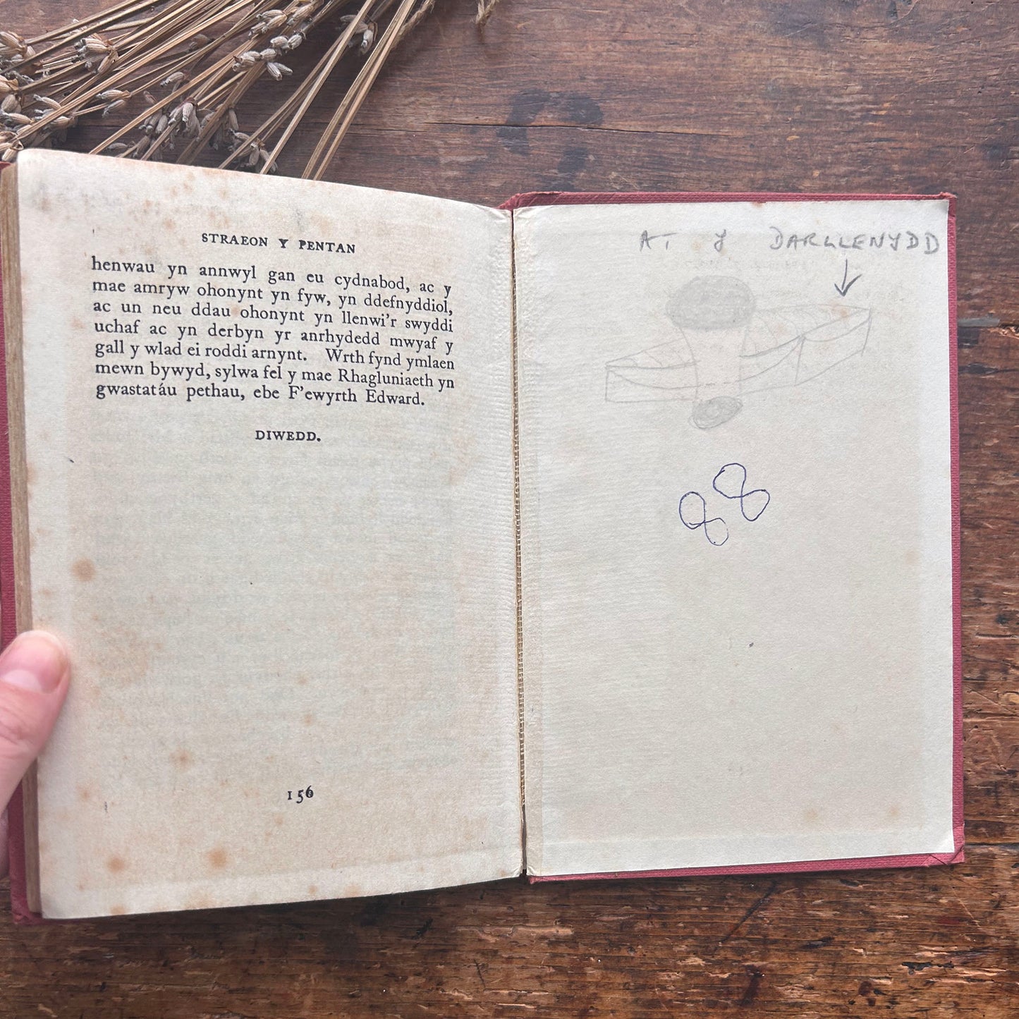 Straeon y Pentan - Daniel Owen - Red (Preloved)