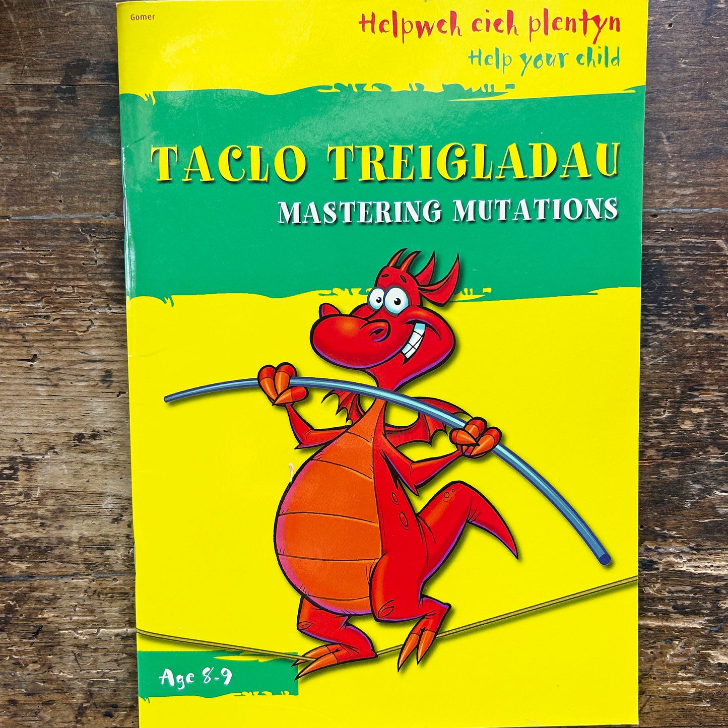 Tacio Treigladau / Mastering Mutations - Elin Meek (Preloved)