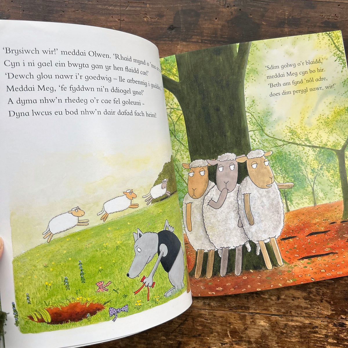 Tair Dafad Fach - Rob Lewis (Preloved)