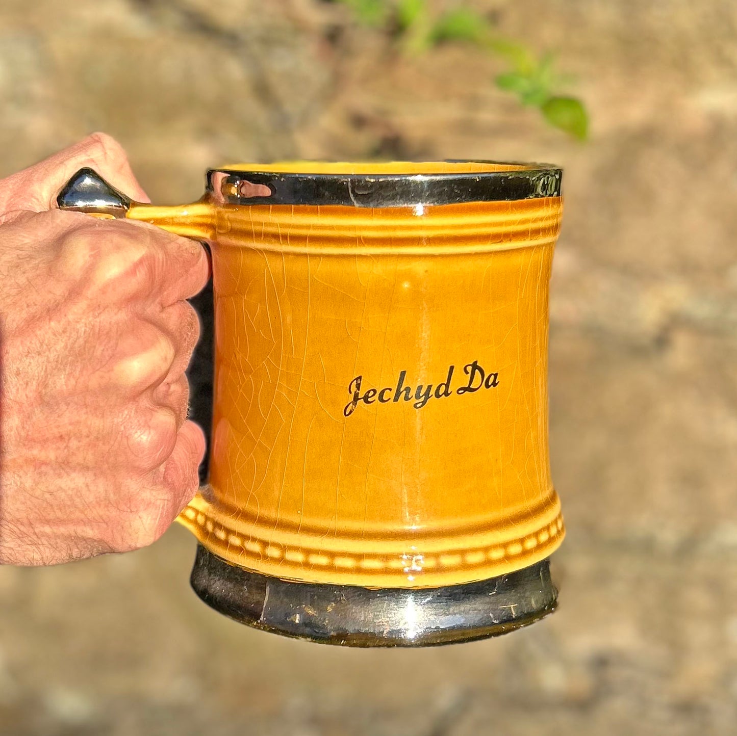 Tankard / Beer Mug - Vintage - Cymru am Byth / Iechyd Da (Preloved)