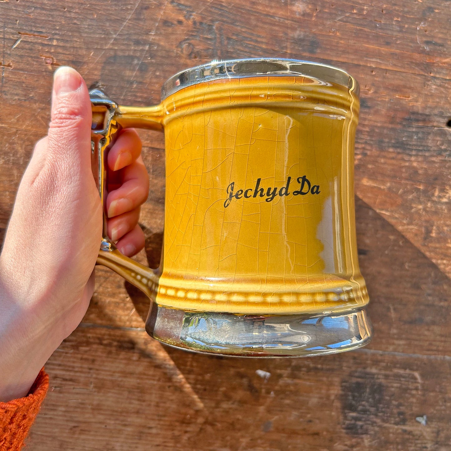 Tankard / Beer Mug - Vintage - Cymru am Byth / Iechyd Da (Preloved)