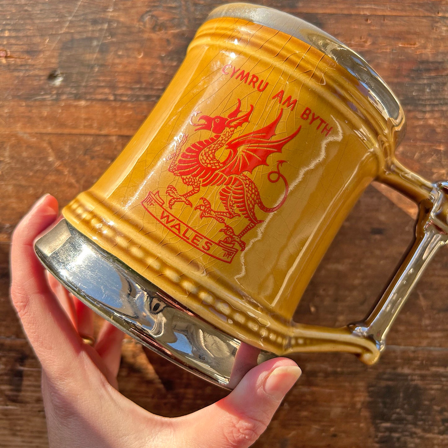 Tankard / Beer Mug - Vintage - Cymru am Byth / Iechyd Da (Preloved)