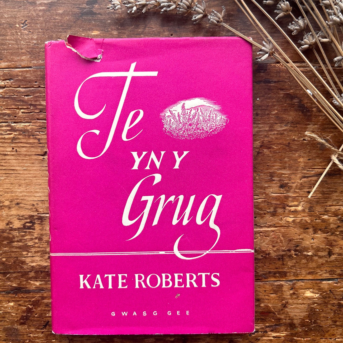 Te Yn y Grug - Kate Roberts - 1959 1st edition (Preloved)