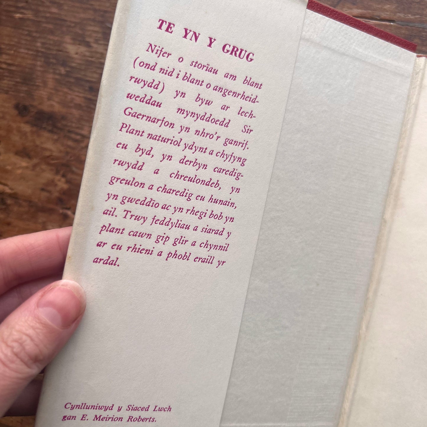 Te Yn y Grug - Kate Roberts - 1959 1st edition (Preloved)