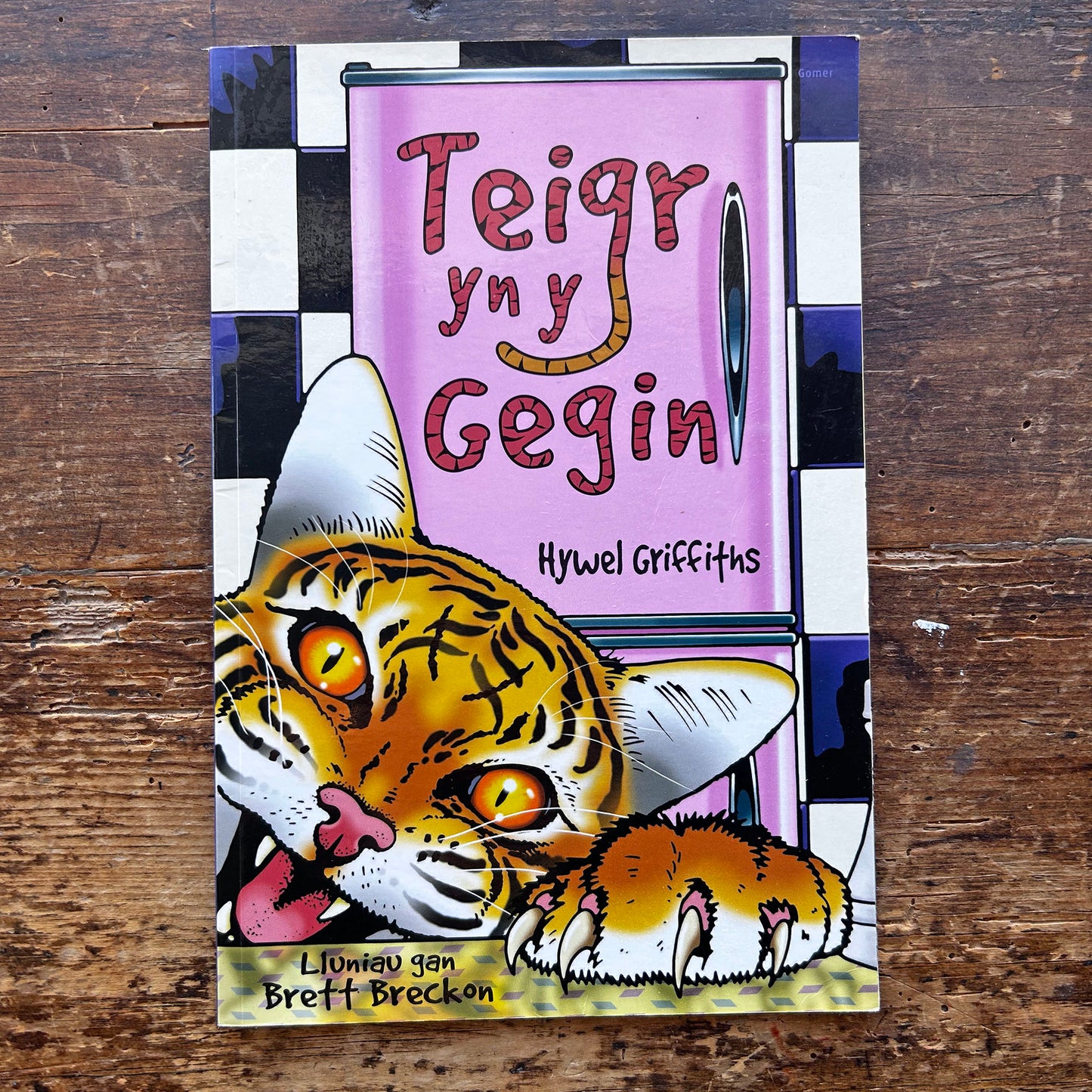 Teigr yn y Gegin - Hywel Griffiths (Preloved)
