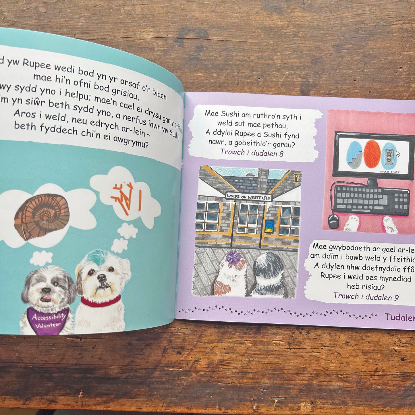 Teithiau Rupee a Sushi ar y Trên - dewis eich taith eich hun (Preloved)