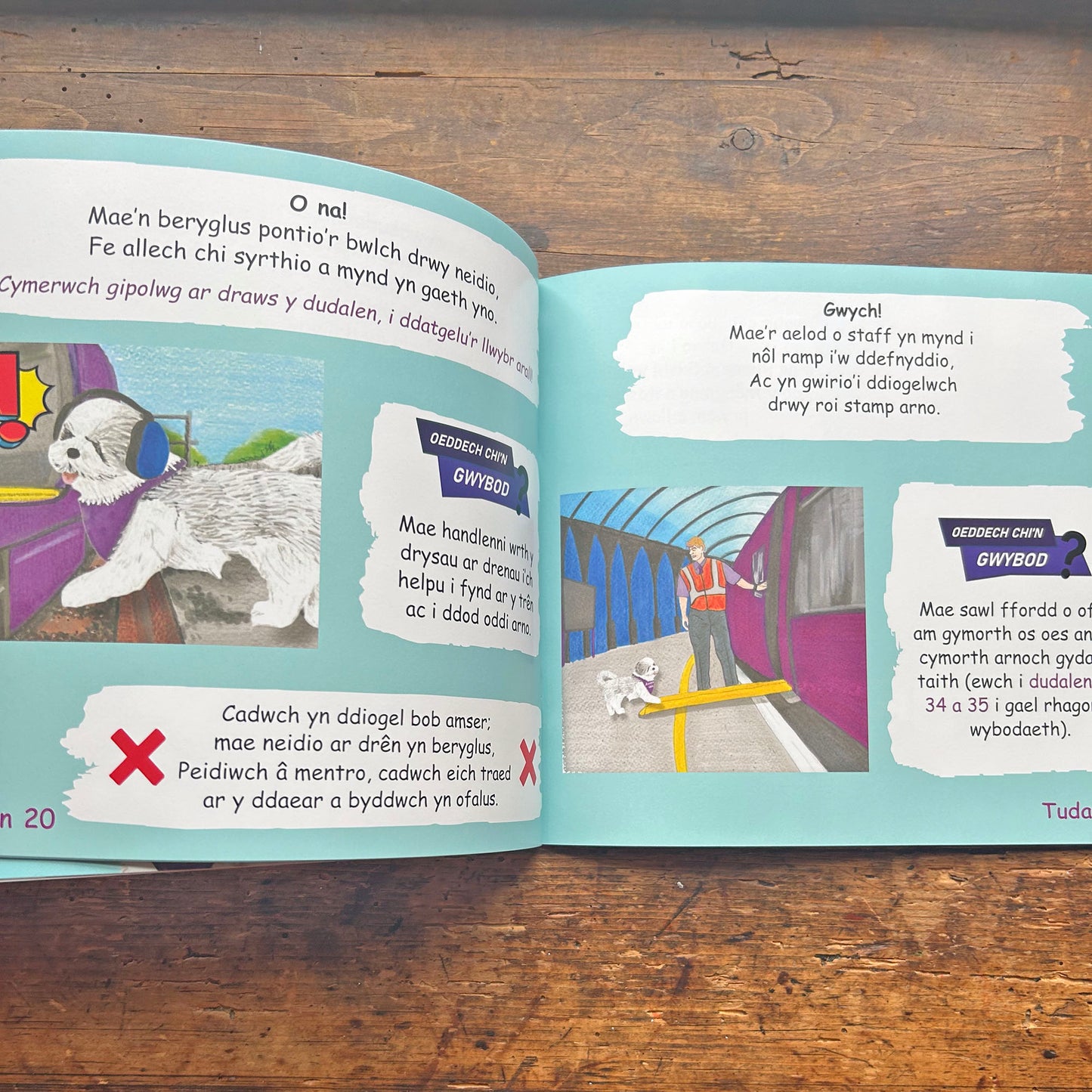 Teithiau Rupee a Sushi ar y Trên - dewis eich taith eich hun (Preloved)