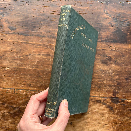 Telynegion - Maes a Mor - Eifion Wyn - Vintage Welsh Poetry 1908 (Preloved)