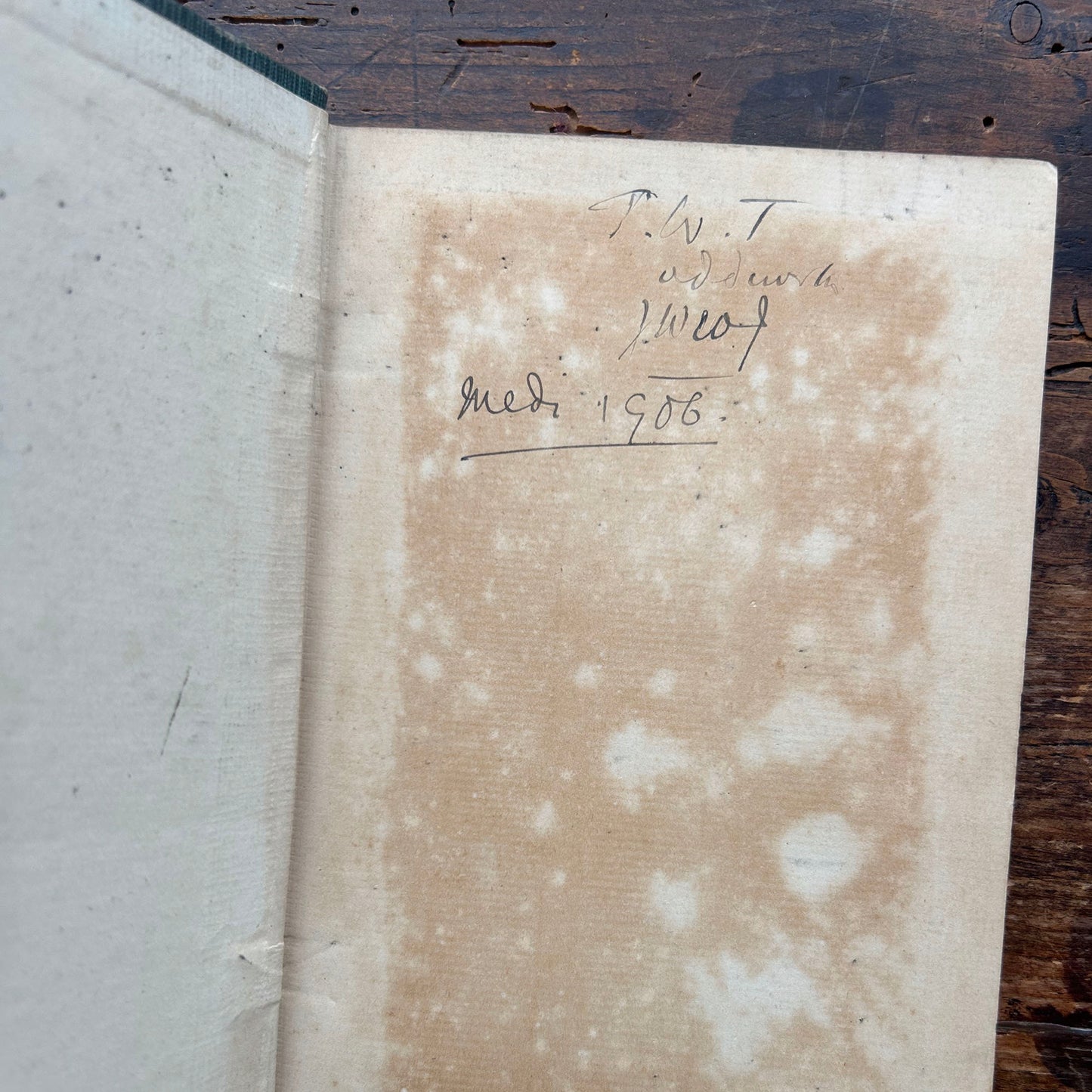 Telynegion - Maes a Mor - Eifion Wyn - Vintage Welsh Poetry 1908 (Preloved)