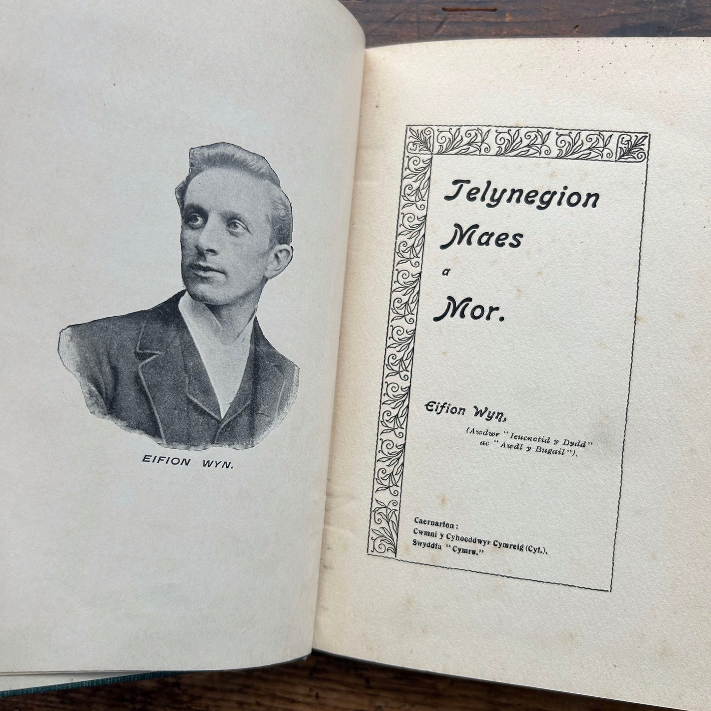 Telynegion - Maes a Mor - Eifion Wyn - Vintage Welsh Poetry 1908 (Preloved)