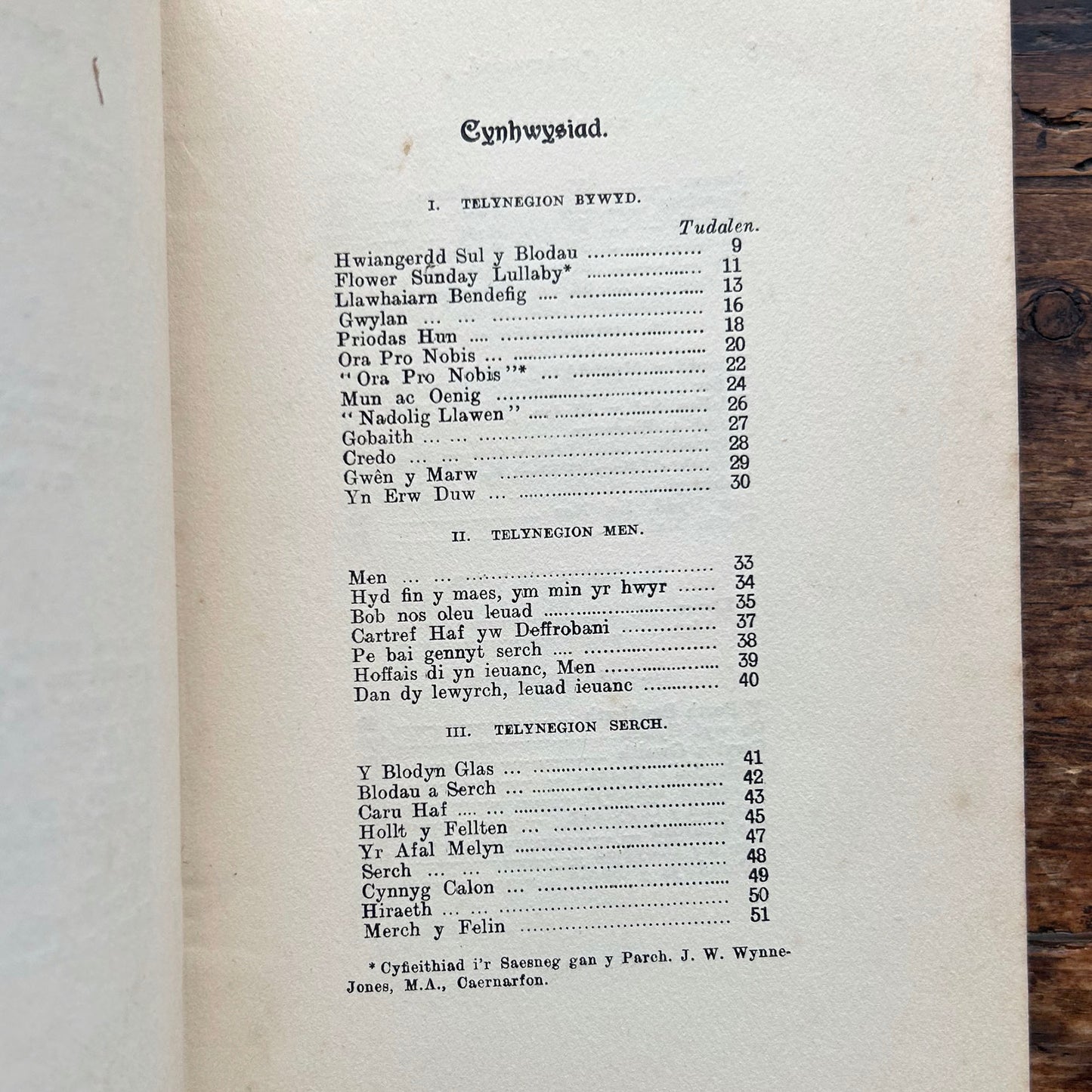 Telynegion - Maes a Mor - Eifion Wyn - Vintage Welsh Poetry 1908 (Preloved)