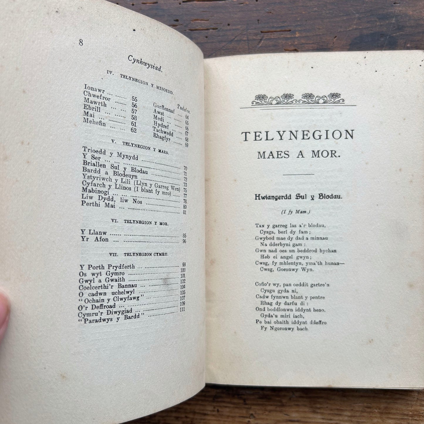 Telynegion - Maes a Mor - Eifion Wyn - Vintage Welsh Poetry 1908 (Preloved)
