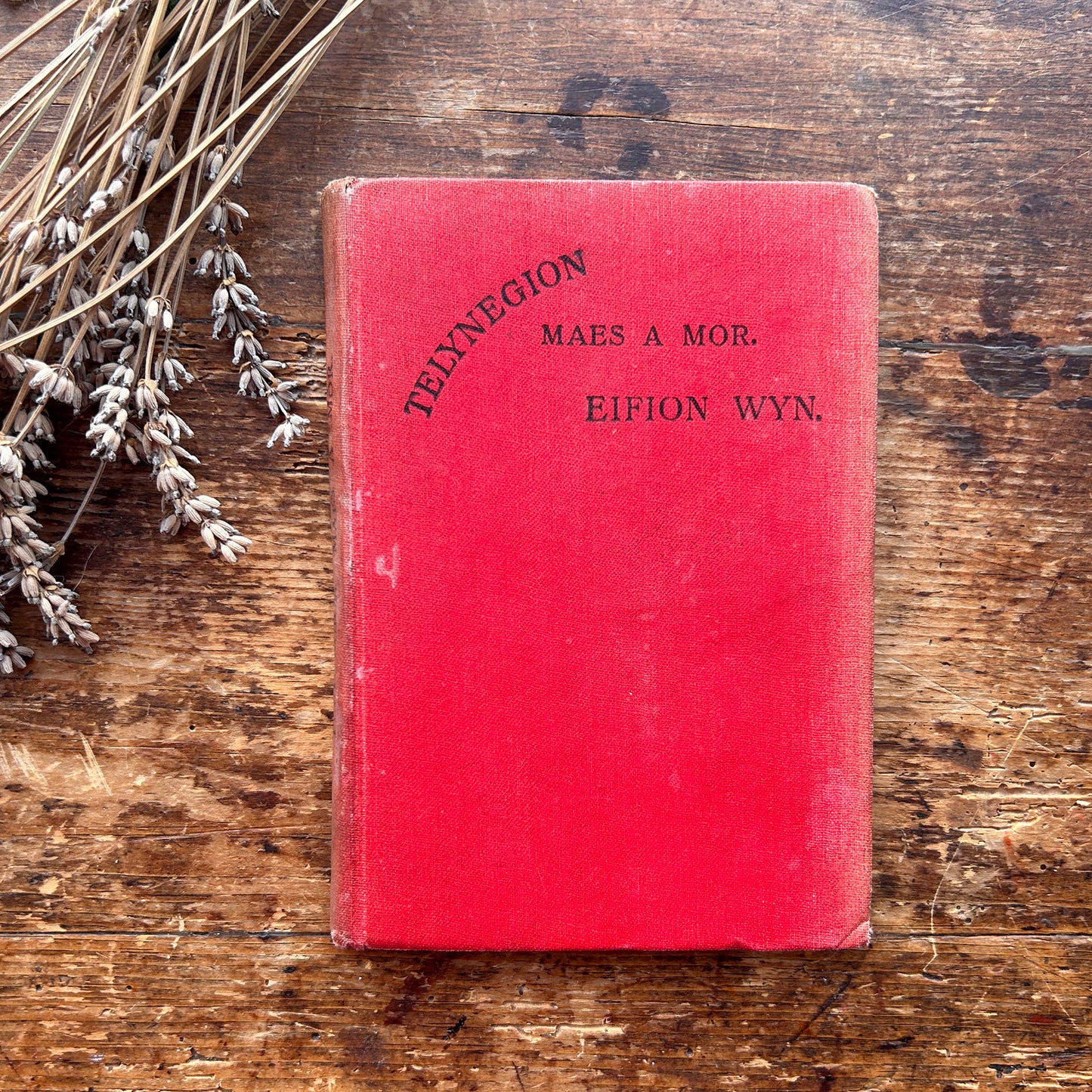 Telynegion - Maes a Mor - Eifion Wyn - Vintage Welsh Poetry (preloved)