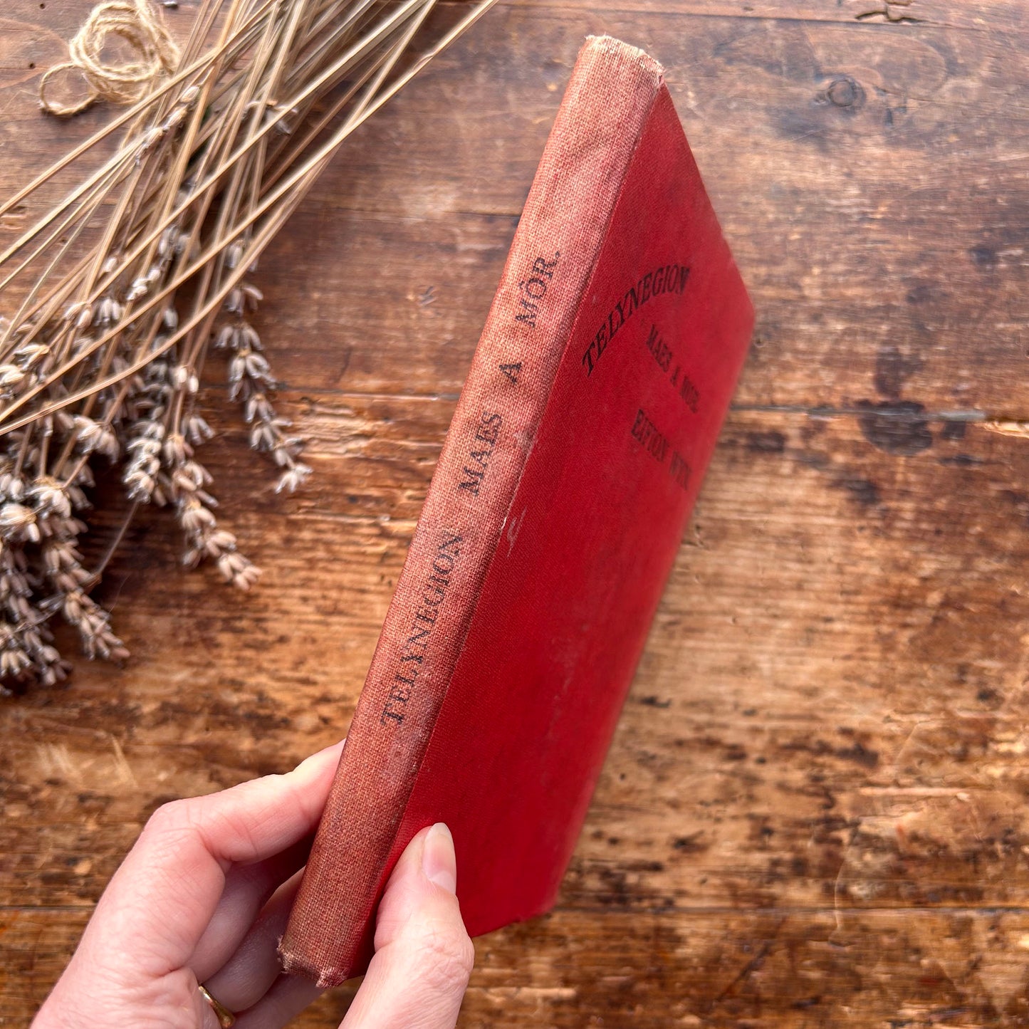 Telynegion - Maes a Mor - Eifion Wyn - Vintage Welsh Poetry (preloved)