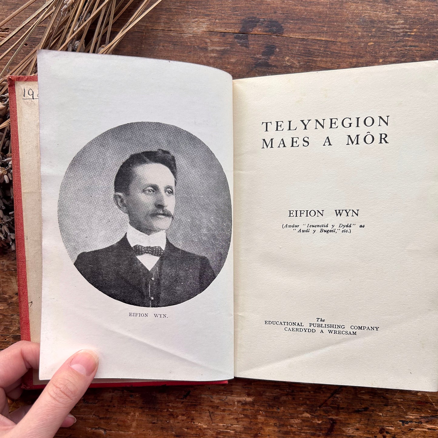 Telynegion - Maes a Mor - Eifion Wyn - Vintage Welsh Poetry (preloved)