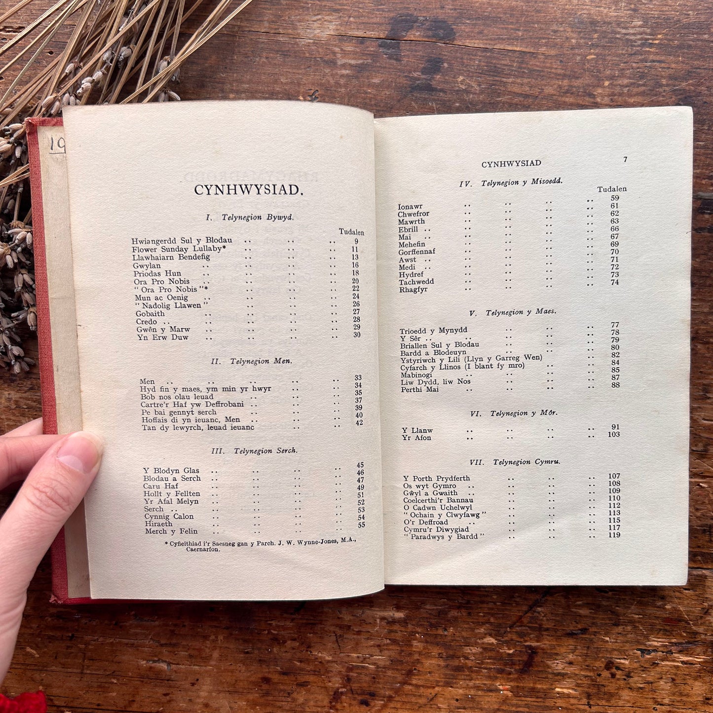 Telynegion - Maes a Mor - Eifion Wyn - Vintage Welsh Poetry (preloved)