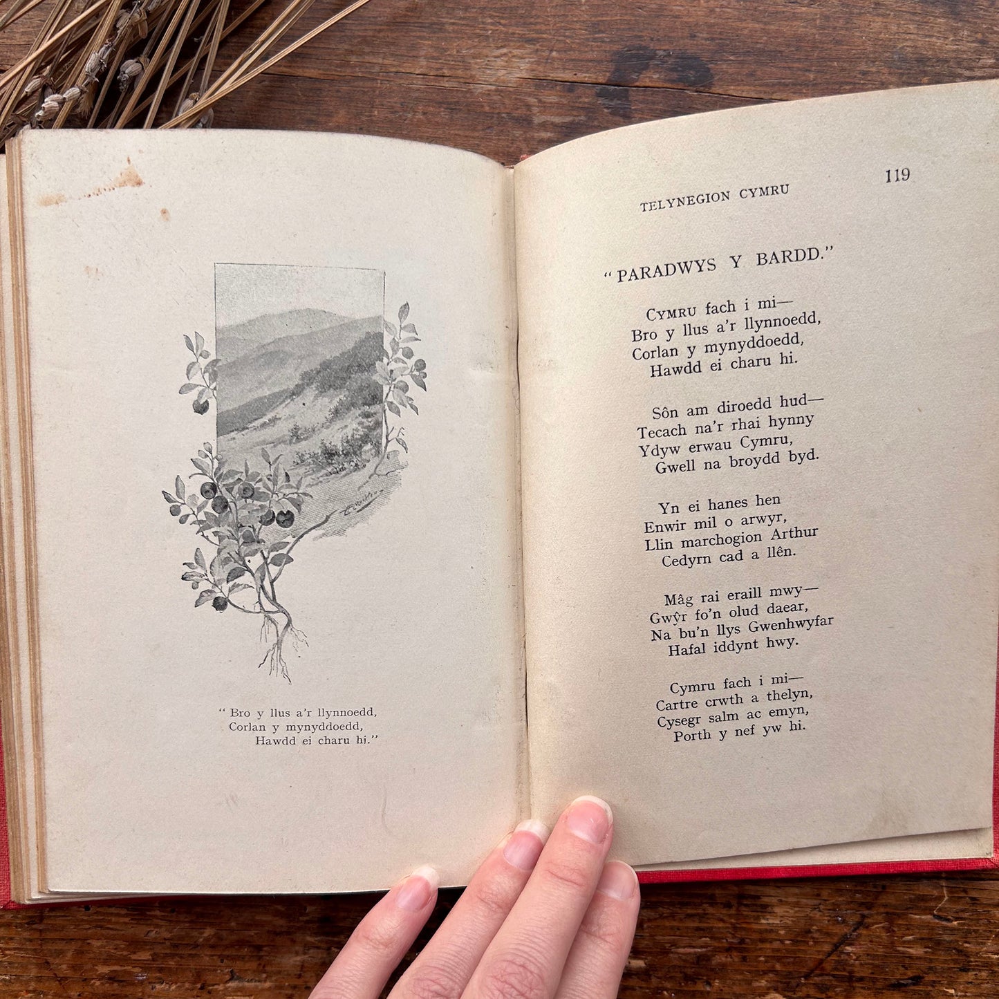 Telynegion - Maes a Mor - Eifion Wyn - Vintage Welsh Poetry (preloved)